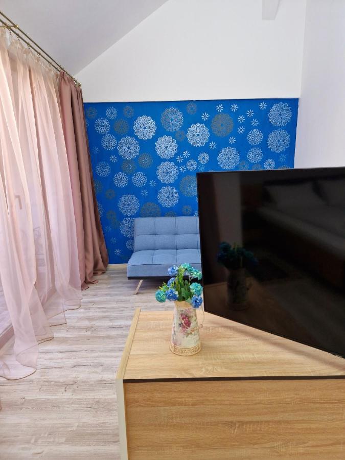 Ori Blue Malul Muresului * Arad